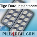Tige Dure Instantanée 07